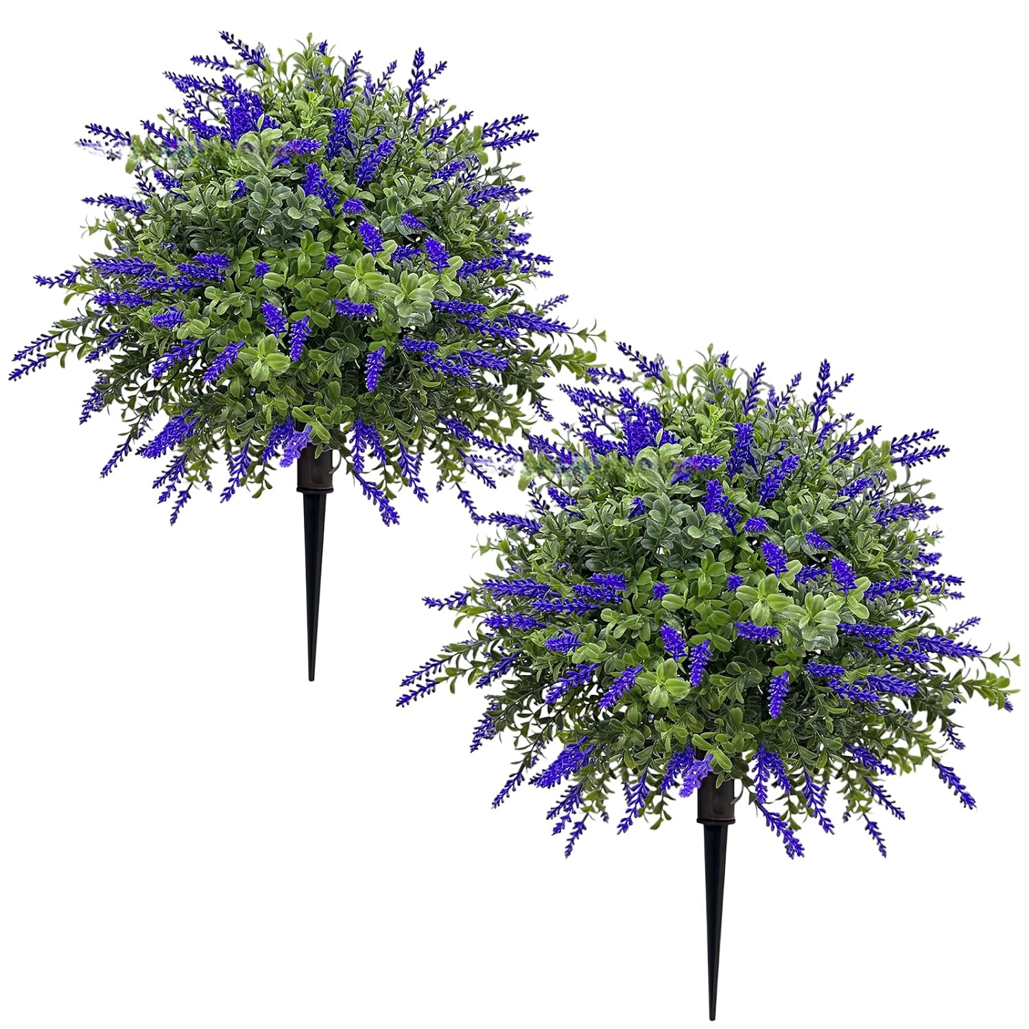 TREE LAVENDER 1PK 24CT